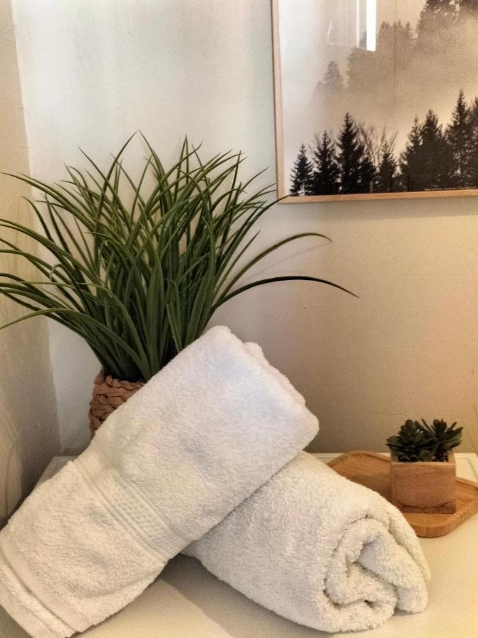 Nancy Gare Centre Parking Apartment Екстериор снимка