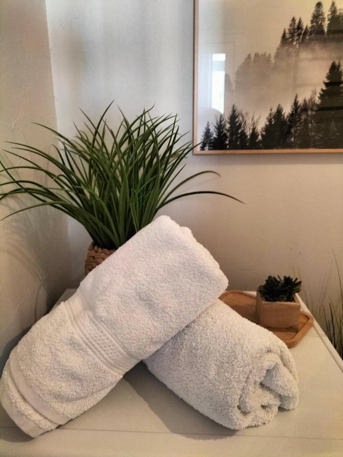 Nancy Gare Centre Parking Apartment Екстериор снимка